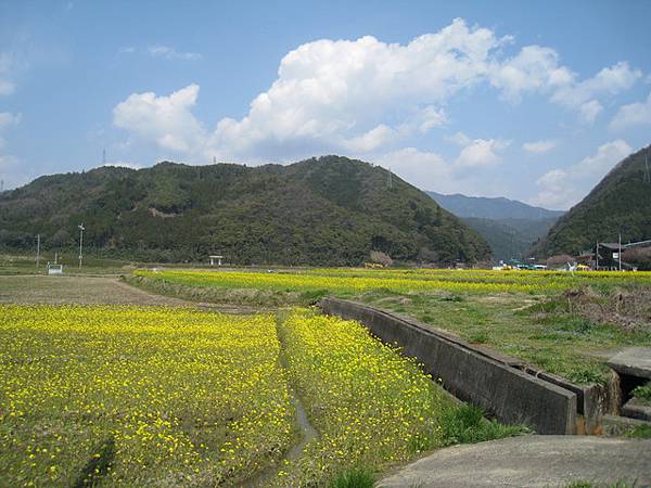 再一陣兵荒馬亂中 我們終於來到龜岡
