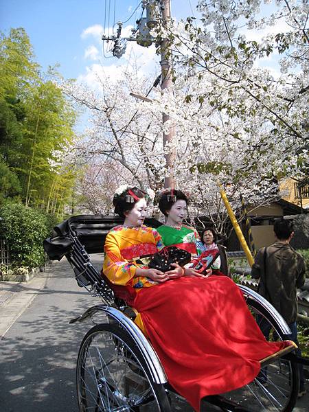 這個非常明顯一定是觀光客