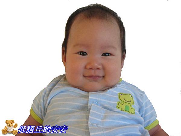 Andrew&#39;s ID Photo-blog