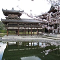 在水之上的平等院