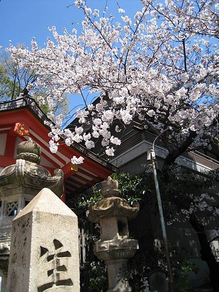 還有一點點時間 來住宿旁邊的生門神社逛逛