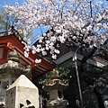 還有一點點時間 來住宿旁邊的生門神社逛逛