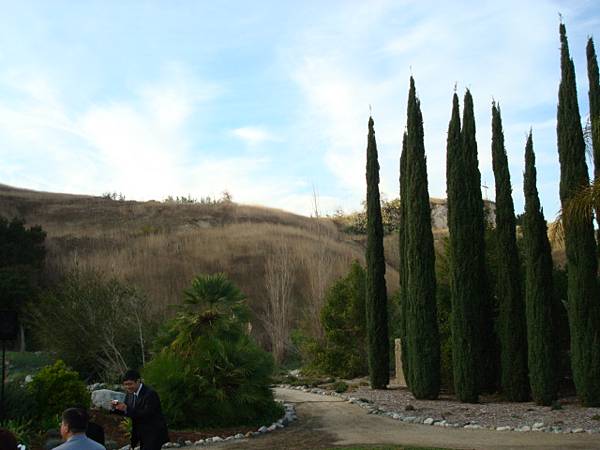 DSC09827