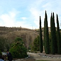 DSC09827