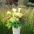 DSC09800