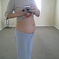 24weeks