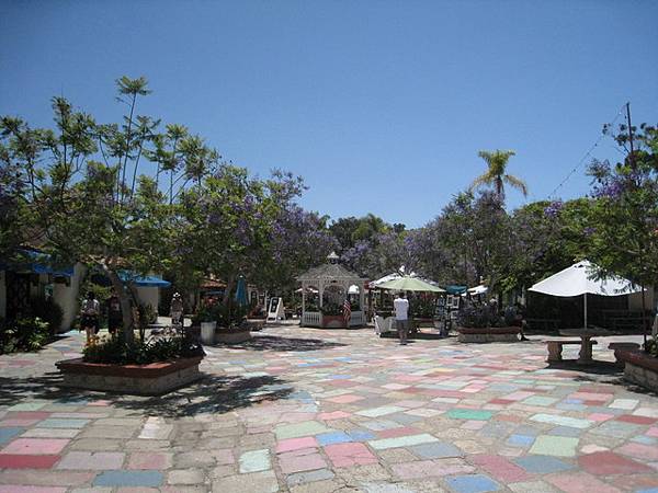 IMG_4693
