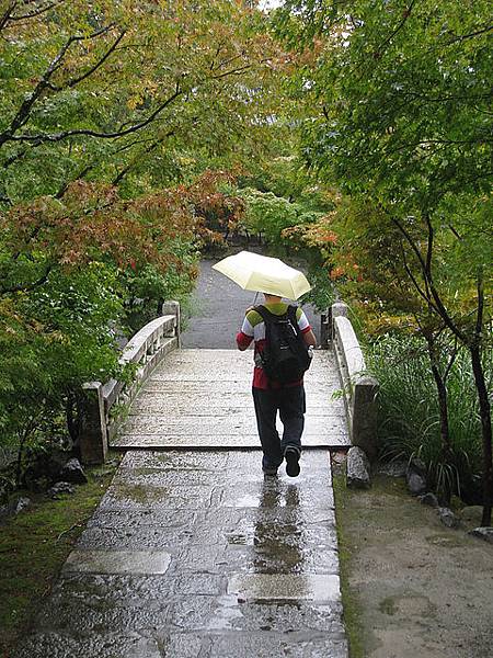 今天下了雨 還蠻有氣氛的