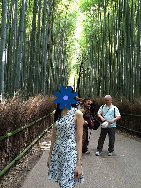 IMG_555633 IMG_555633