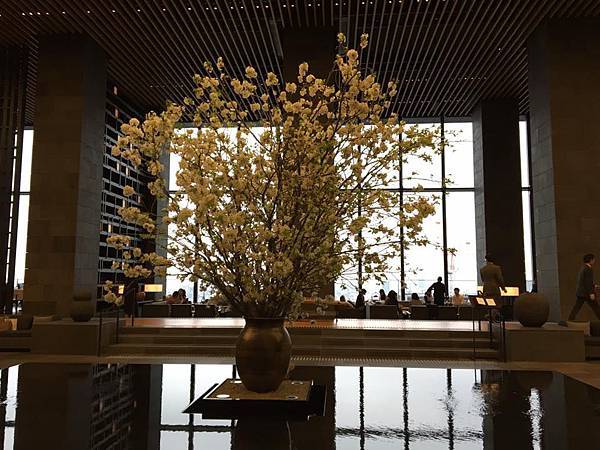 13000261_10153760391431888_6339107328642240589_n