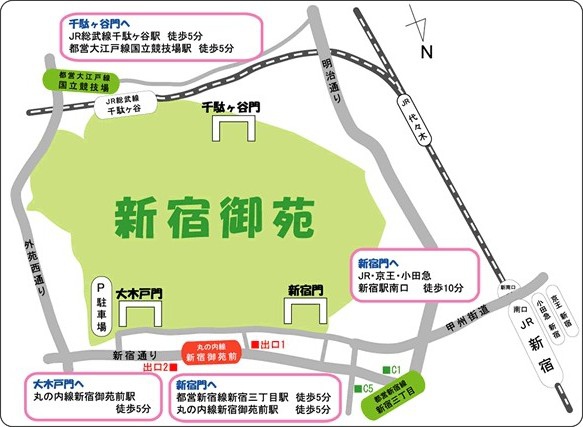 5az_bor_rou 5az_bor_rou