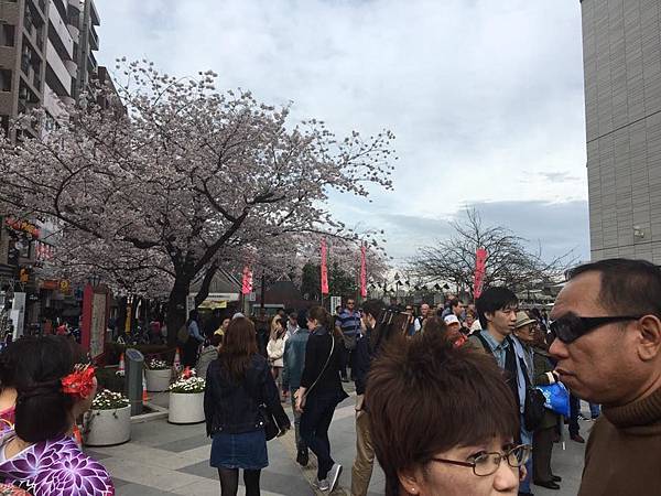 13015507_10153768797551888_702834593497761912_n