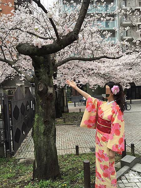 13087441_10153768931861888_2071372831312561942_n