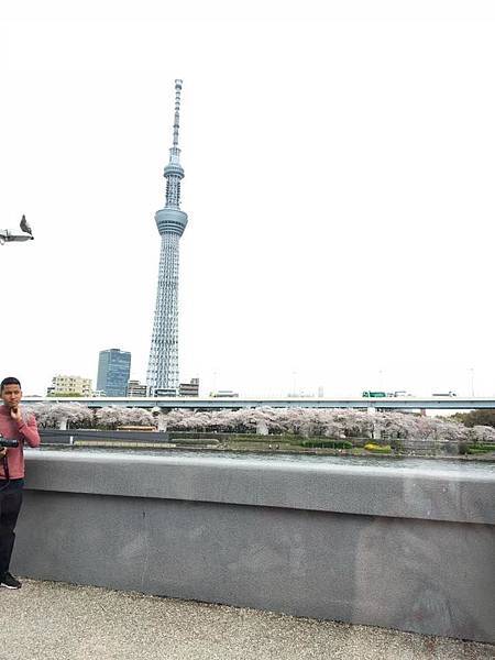 13087571_10153768939616888_7954025853738919016_n