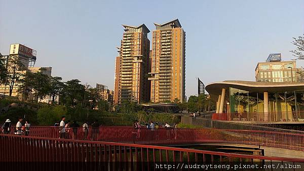 IMAG0576 IMAG0576