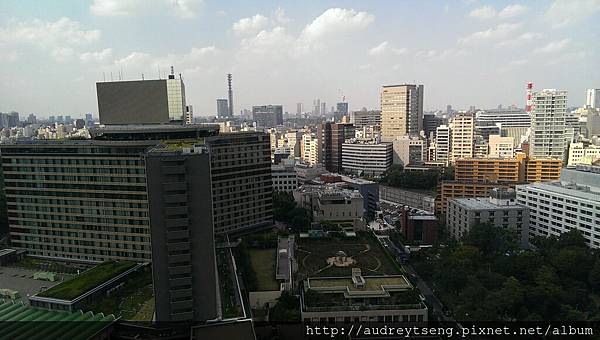 IMAG6355.jpg IMAG6355.jpg
