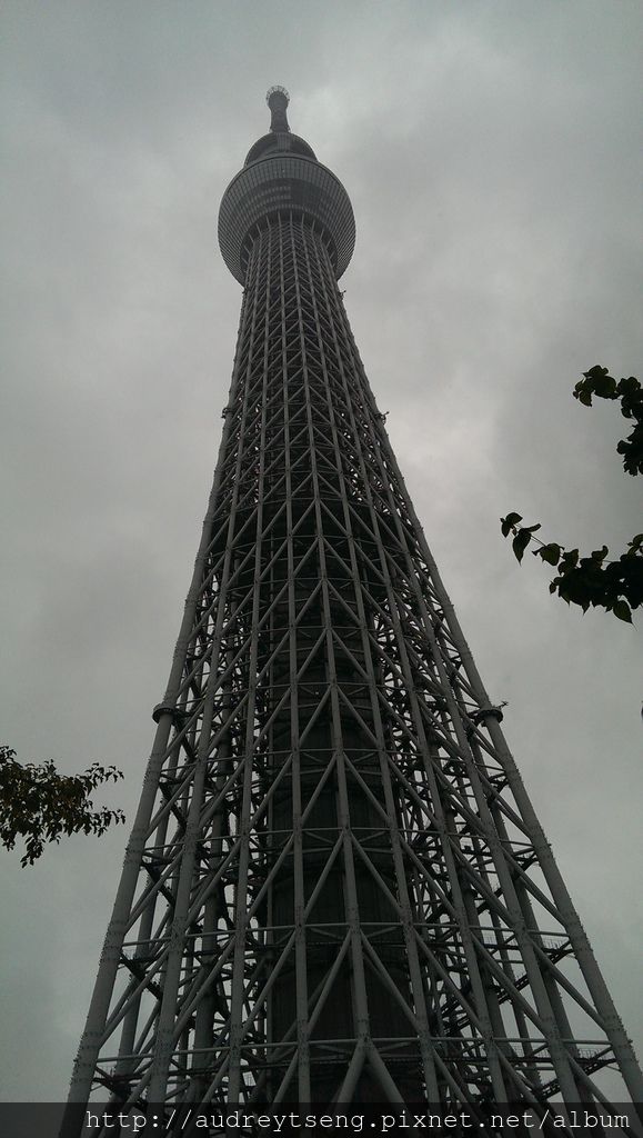 IMAG6470.jpg IMAG6470.jpg