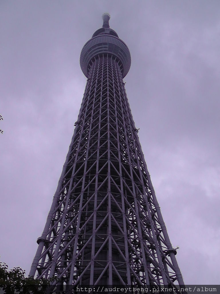 S1850051.JPG S1850051.JPG