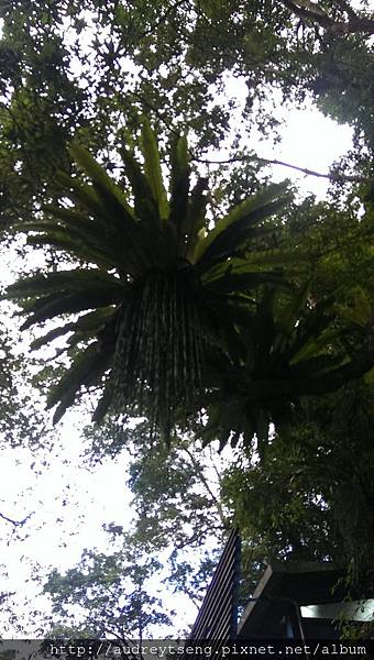 IMAG7835.jpg IMAG7835.jpg