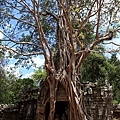 Angkor_207.JPG