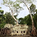 Angkor_302.JPG