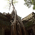 Angkor_305.JPG