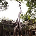 Angkor_307.JPG