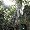 Angkor_317.JPG