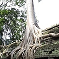 Angkor_321.JPG