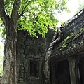 Angkor_328.JPG