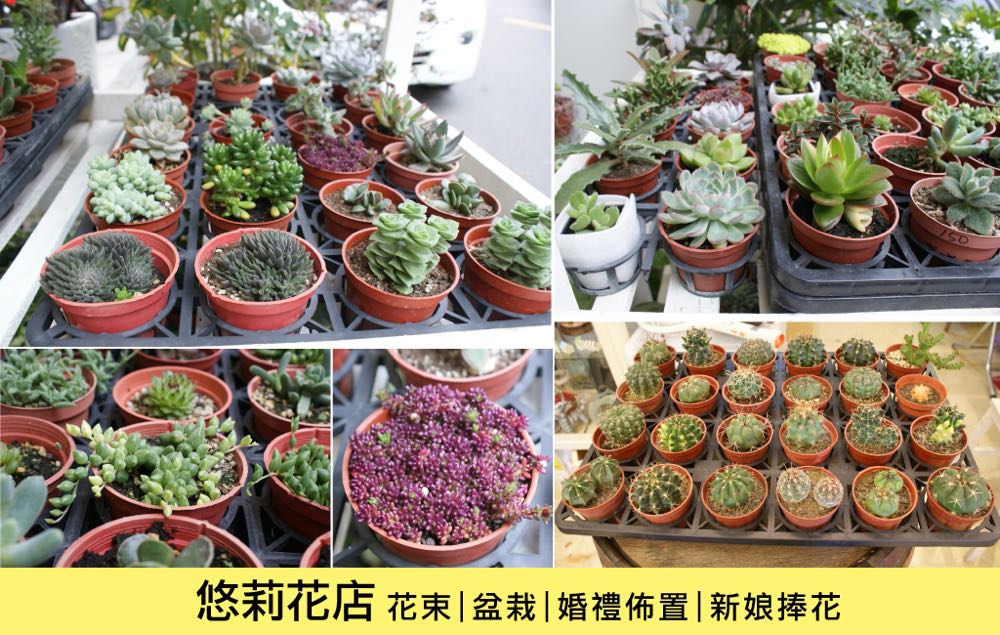 台南花店 悠莉花店 隱身巷弄的質感花店 闆娘超親切 花束 花籃 盆栽 乾燥花 新娘捧花 婚禮佈置 會場佈置 艾瑪娘的小日子 台南花店 悠莉花店 隱身巷弄的質感花店 闆娘超親切 花束 花籃 盆栽 乾燥花 新娘捧花 婚禮佈置 會場佈置 艾瑪娘的小日子