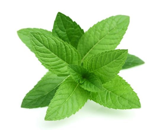 200-PCS-PERENNIAL-herb-mint-seeds-chinese-herb-good-smell-mint-seeds-for-medical-and-eating.jpg_640x640.jpg