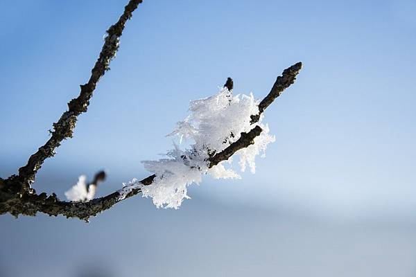 snow-crystals-2010308_960_720.jpg