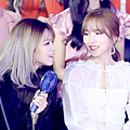 IMG_3625.PNG