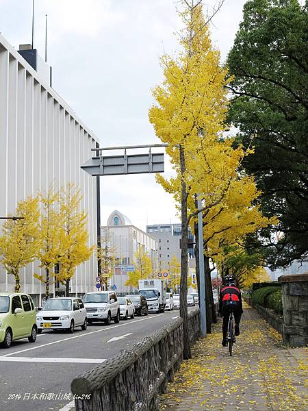 2014京阪神紅葉季 248