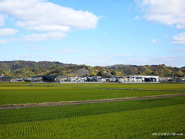 2014京阪神紅葉季 294