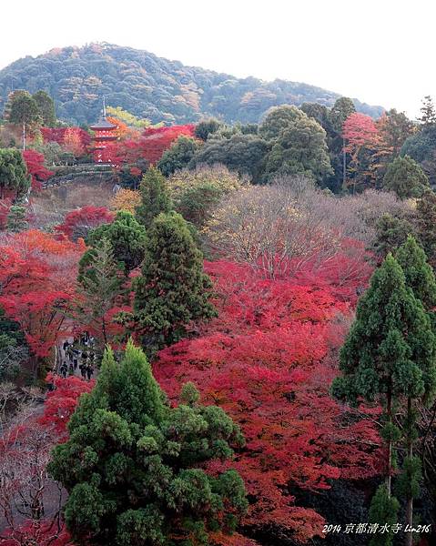 2014京阪神紅葉季 914_副本