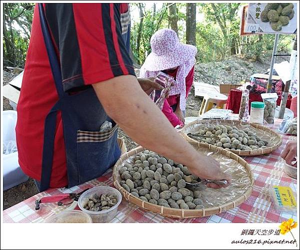 銅鑼天空步道 (40)