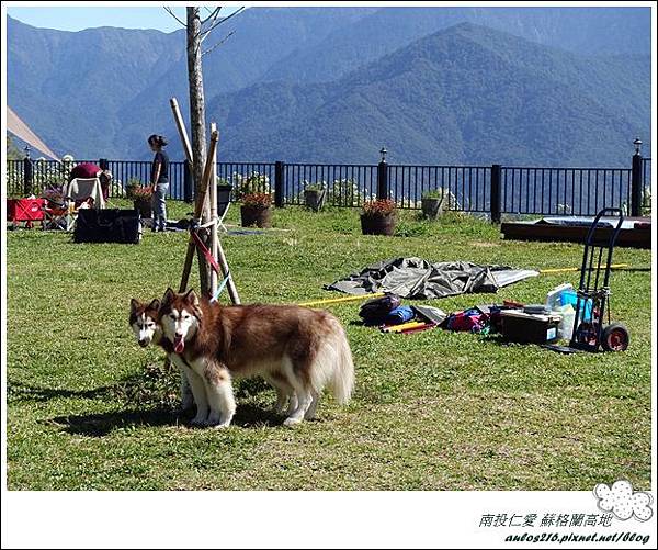 蘇格蘭高地(27露) (292)