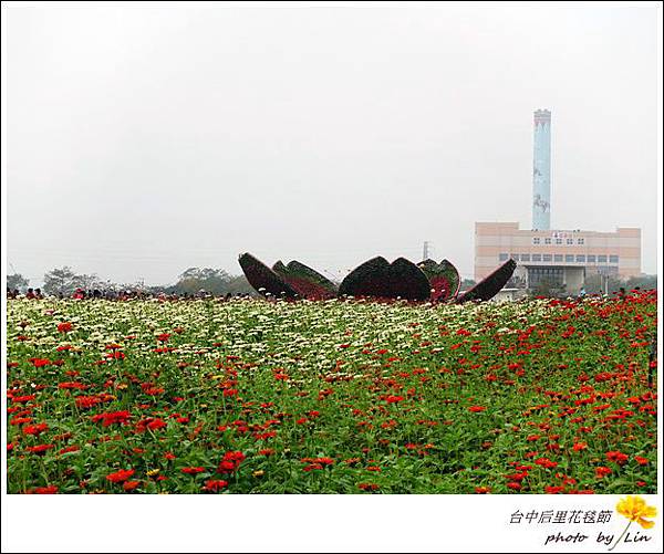 台中后里花毯節 (46)