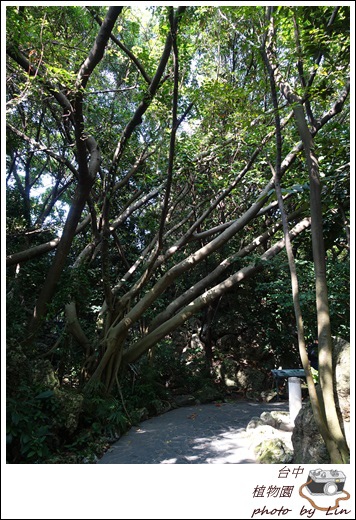 æ¤ç©åãç§åé¤¨ (20)