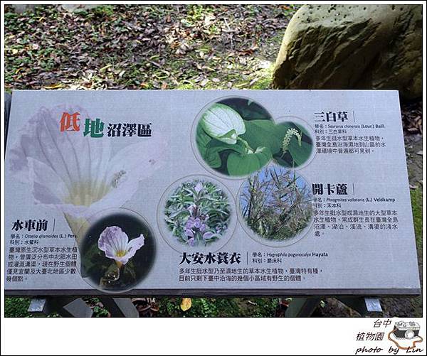 æ¤ç©åãç§åé¤¨ (7)