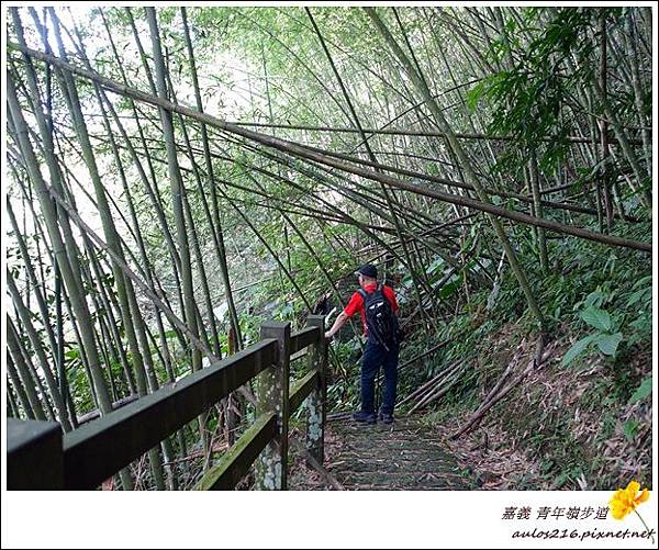 嘉義瑞里 (62)