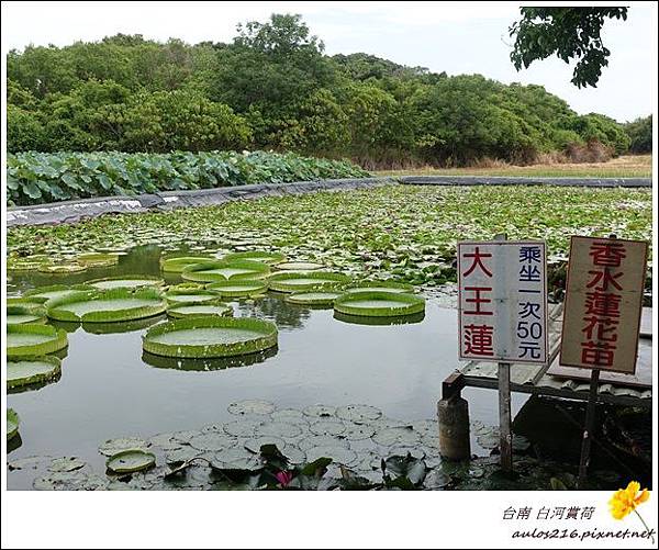 å°åç½æ²³ (74)