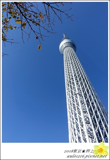 2018Ã¦ÂÂ¥Ã¦ÂÂ¬Ã¨ÂÂªÃ§ÂÂ±Ã¨Â¡Âday2 (26)