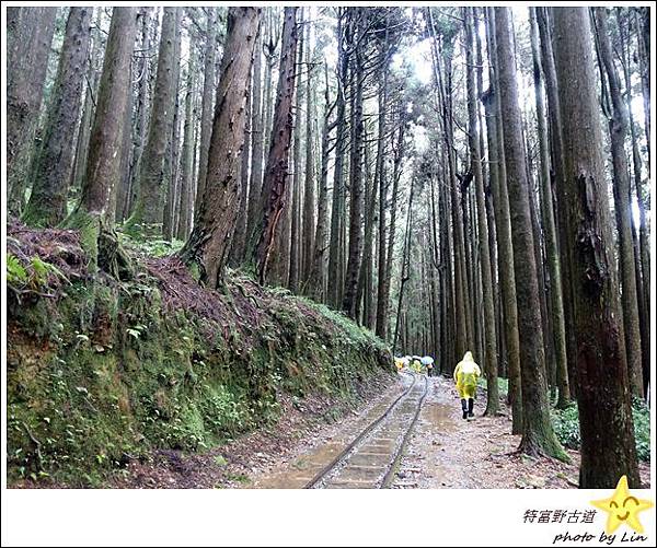 特富野古道 (27)