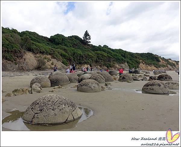 2019紐西蘭南島 (1951).JPG