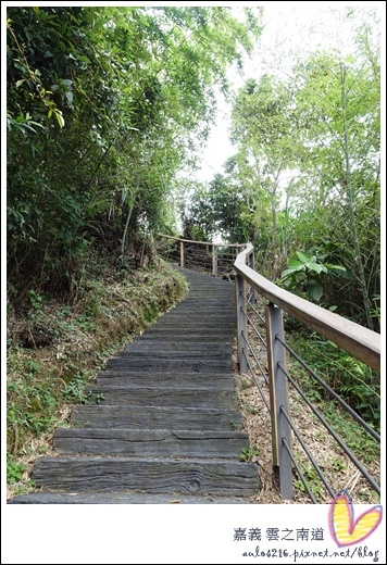 雲之南道 (6).JPG