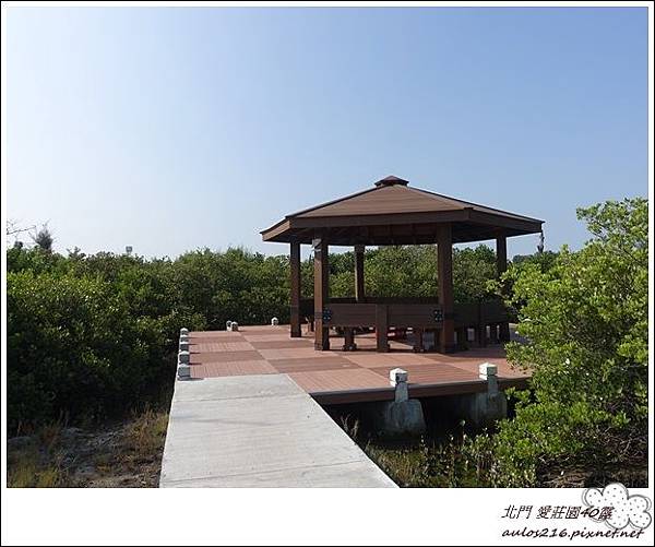 北門 愛莊園40露 (274).JPG