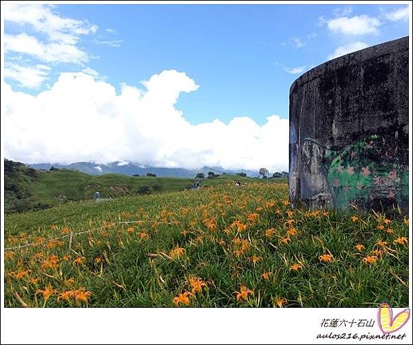 花蓮六十石山 (43).JPG